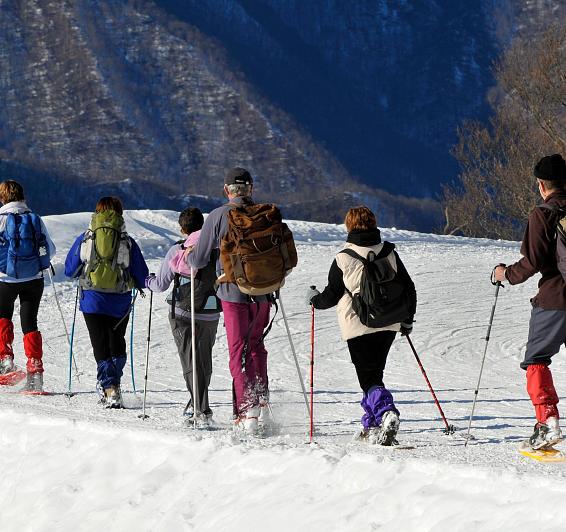 Raquetes de neu